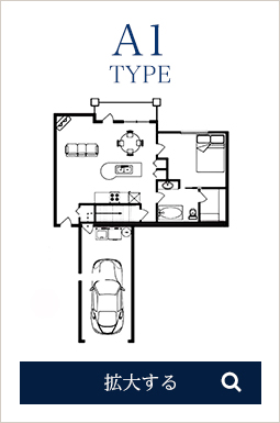 ROOM TYPE A1
